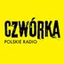 https://www.polskieradio.pl/10/10335/artykul/3262476,gdzie-zaparkowac-student-chce-pomoc-kierowcom